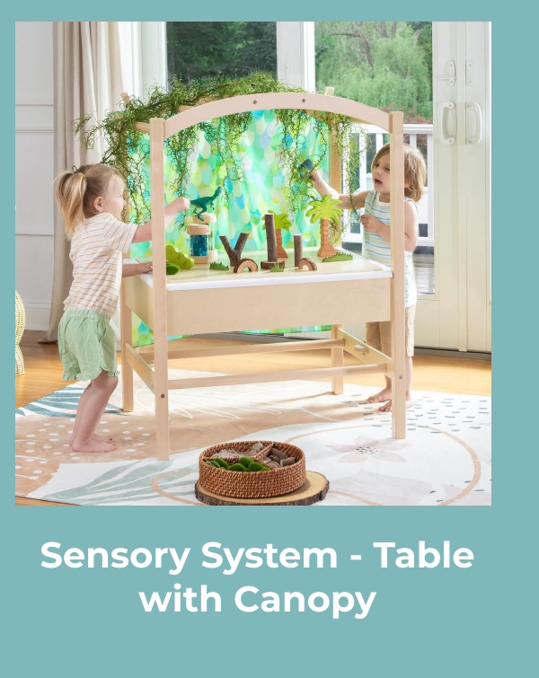 Sensory System - Table with Canopy