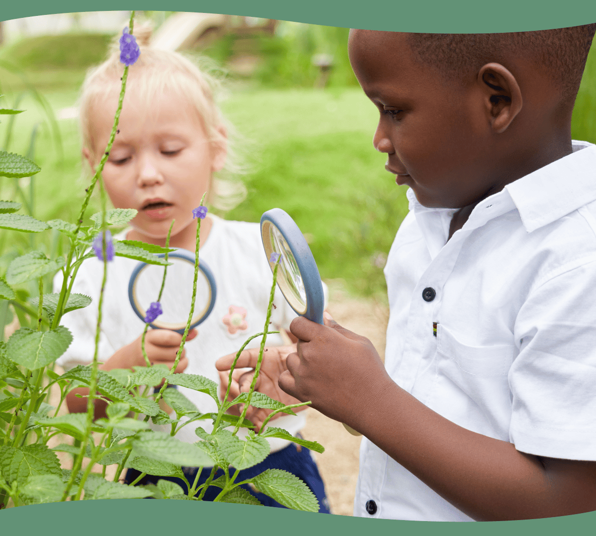 Learning with Nature: Math of Plants