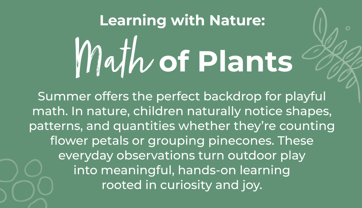 Summer offers the perfect backdrop for playful math. 