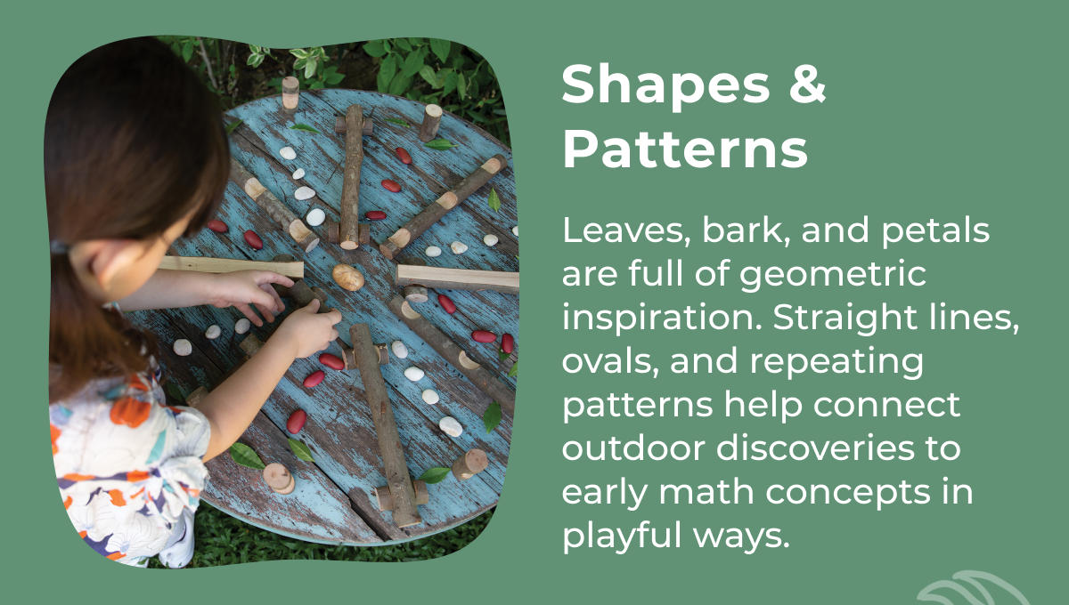Shapes & Patterns