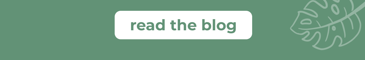 Read the Blog