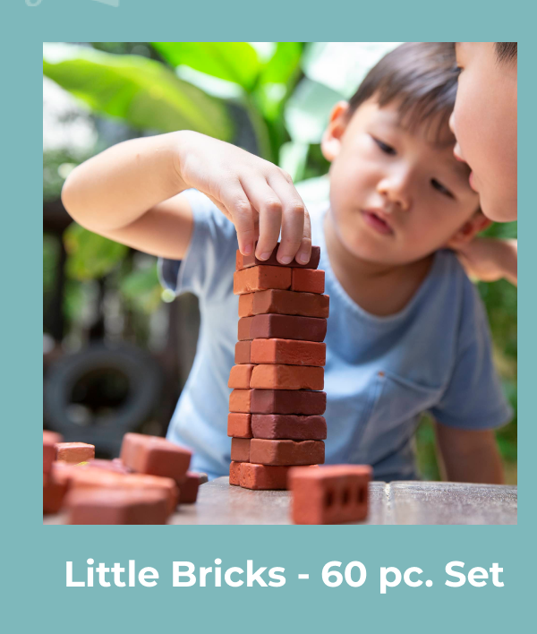 Little Bricks - 60 pc. Set