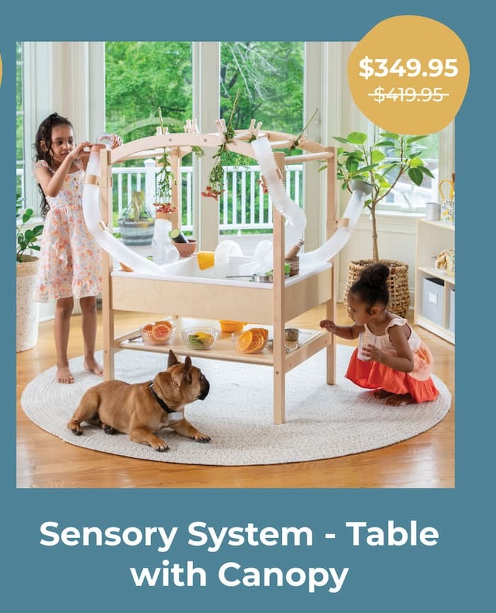 Guidecraft Sensory Table System