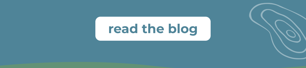 Read The Blog