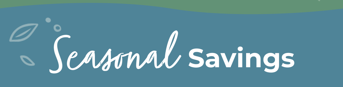 Seasonal Savings