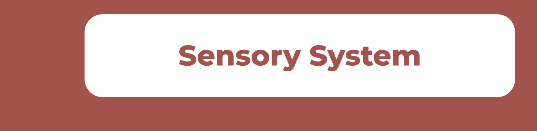 Sensory System - Table with Canopy