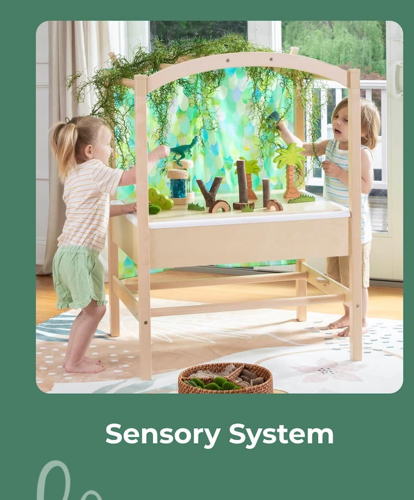 Sensory System