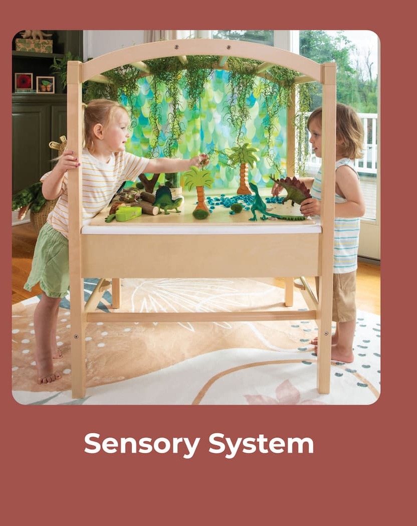 Sensory System