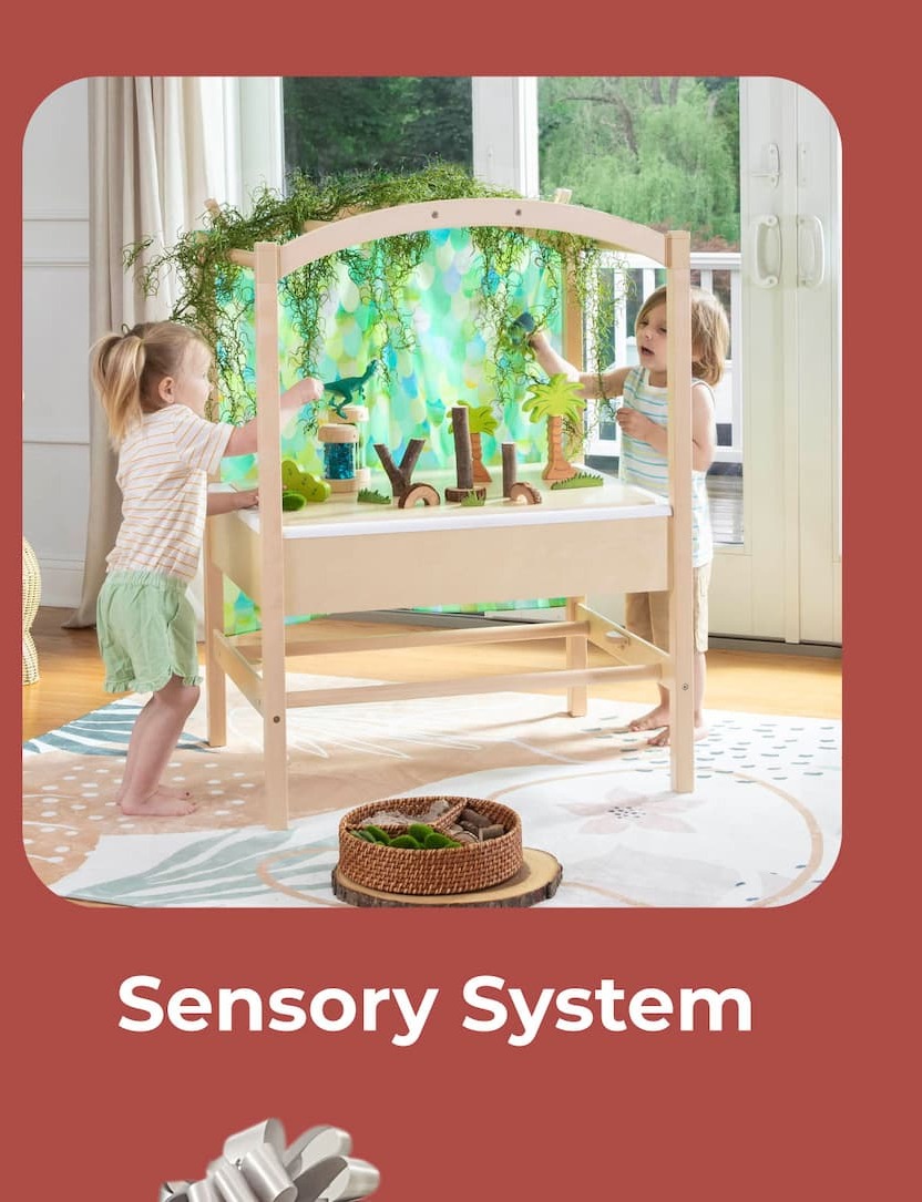 Sensory System