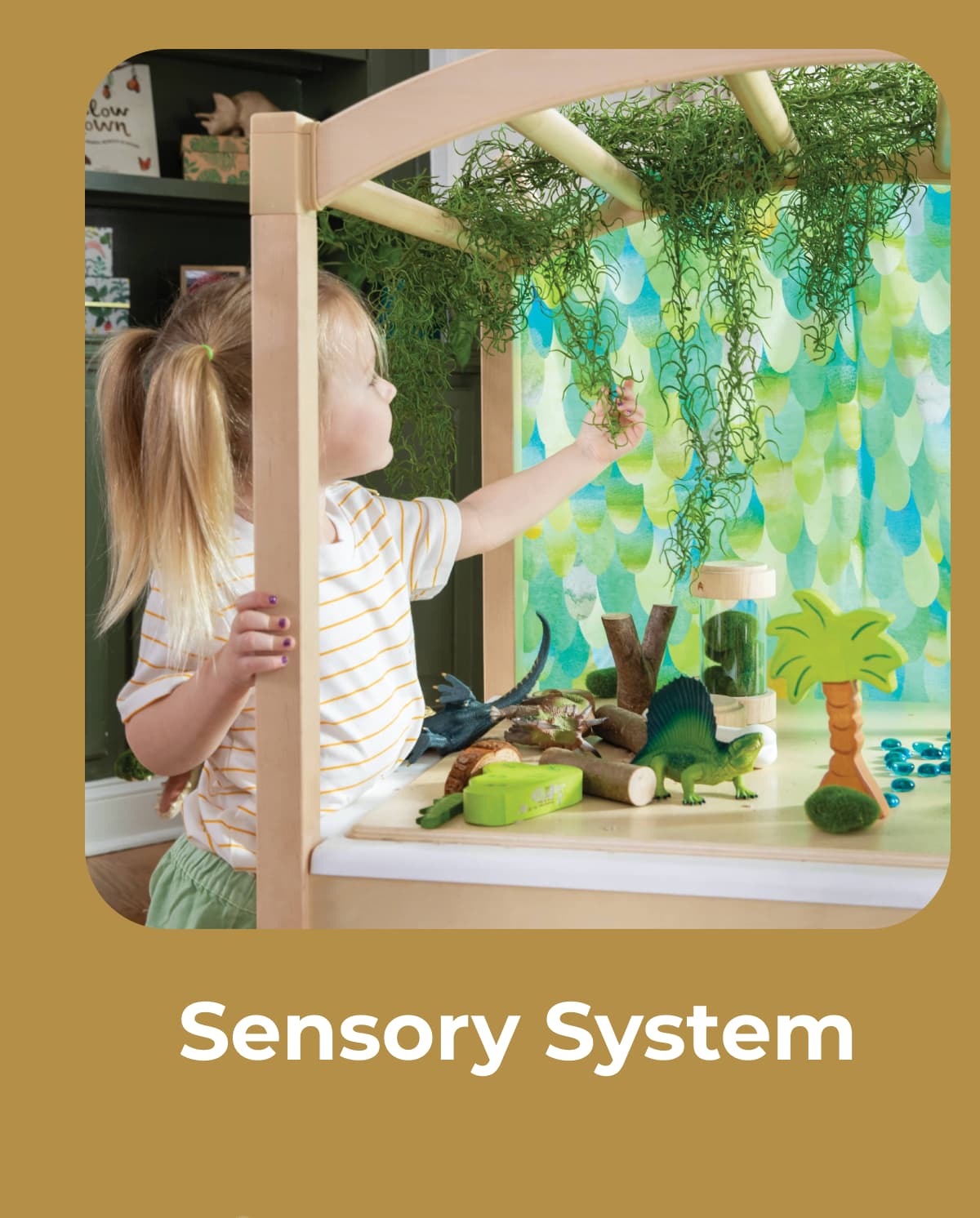 Sensory System