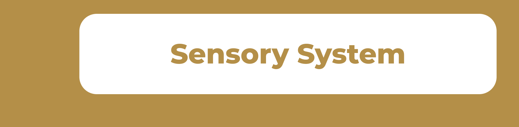 Sensory System