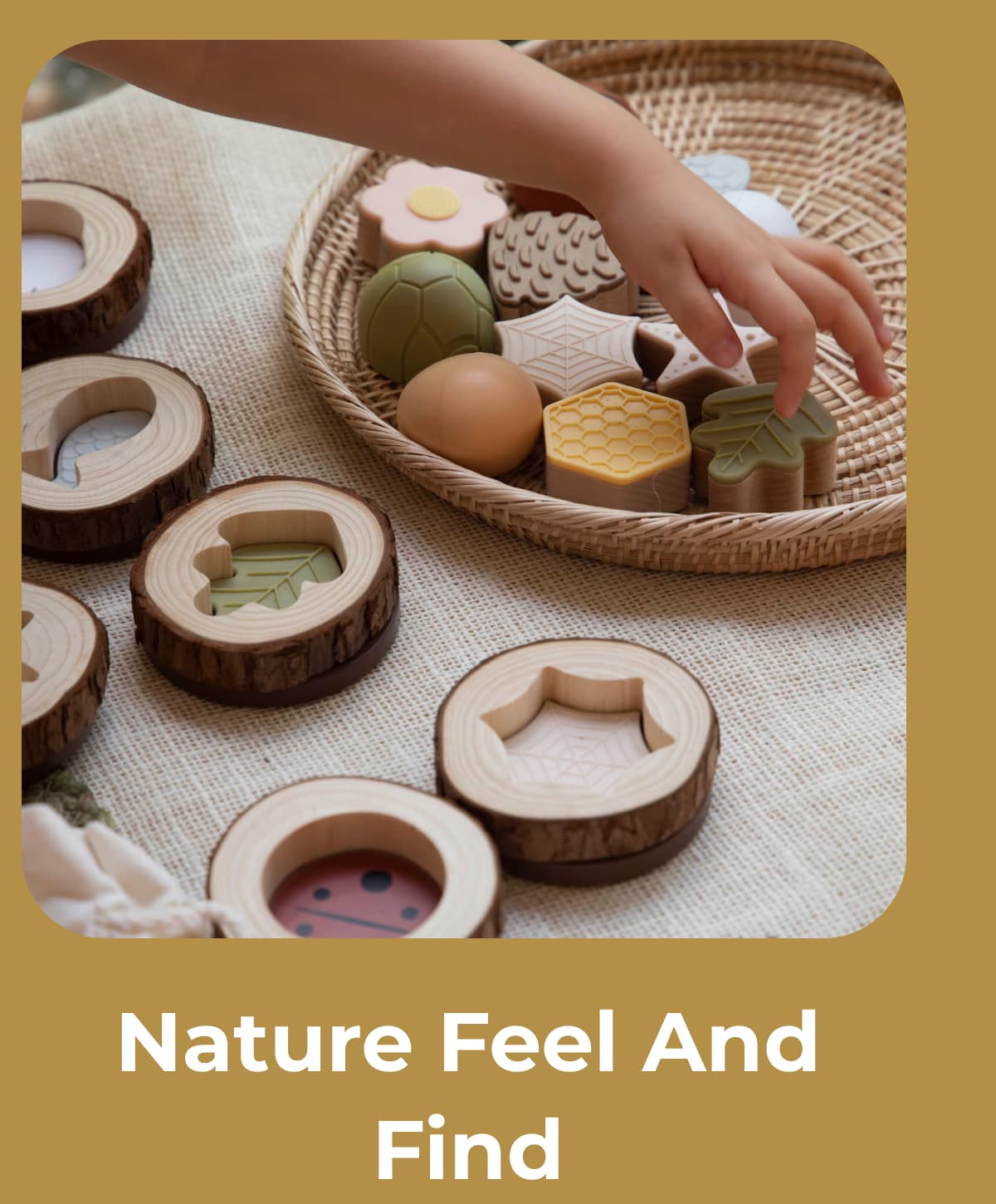 Nature Feel And Find