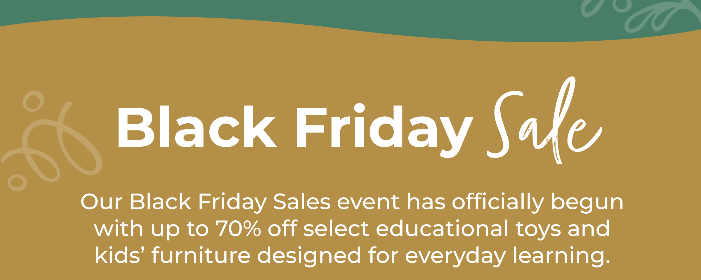 Black Friday Sale