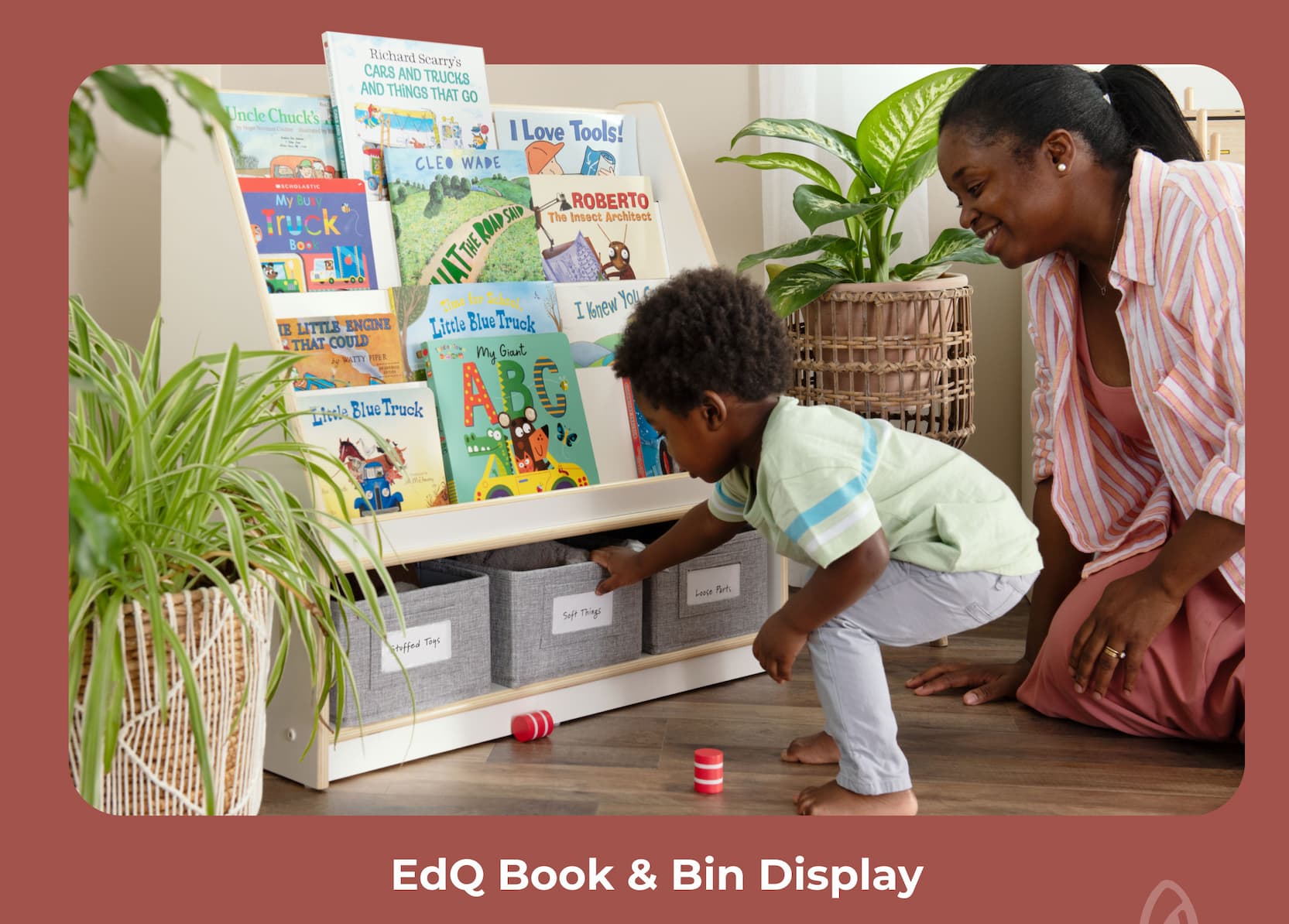 EdQ Book & Bin Display