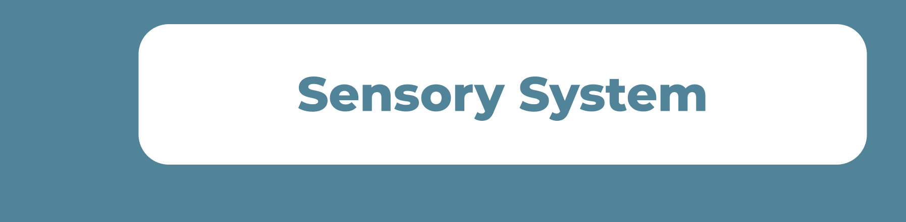 Sensory System