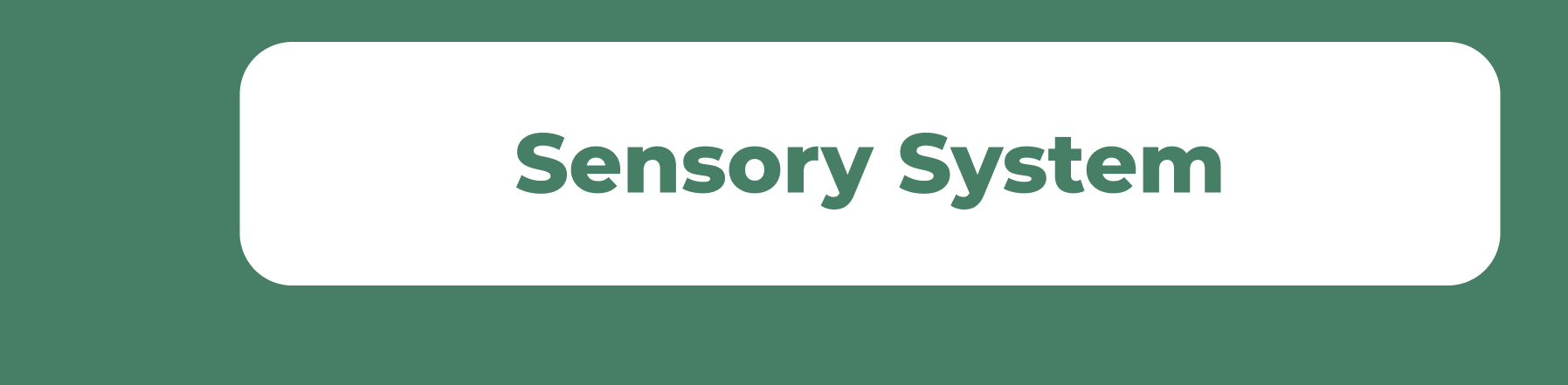 Sensory System
