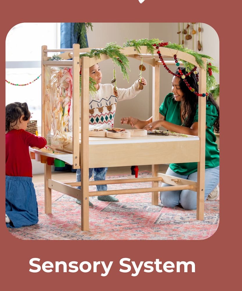Sensory System