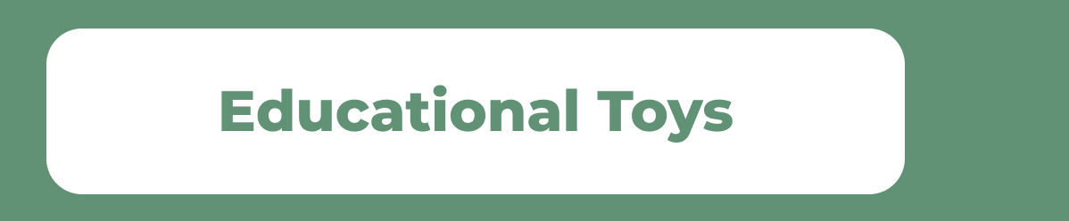 Educational Toys