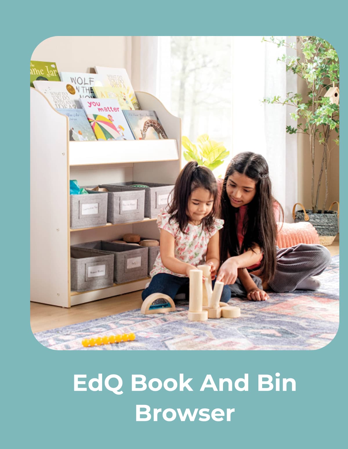 EdQ Book and Bin Browser