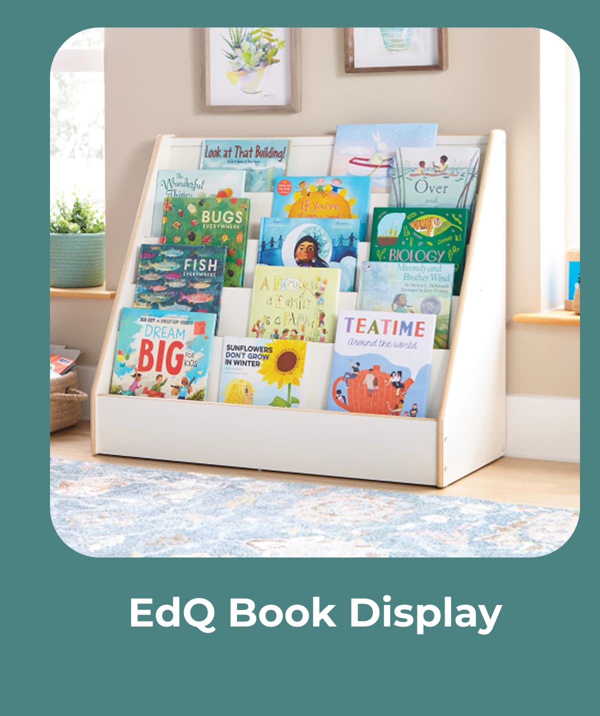 EdQ Book Display