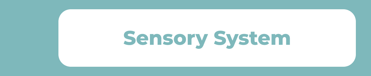 Sensory System