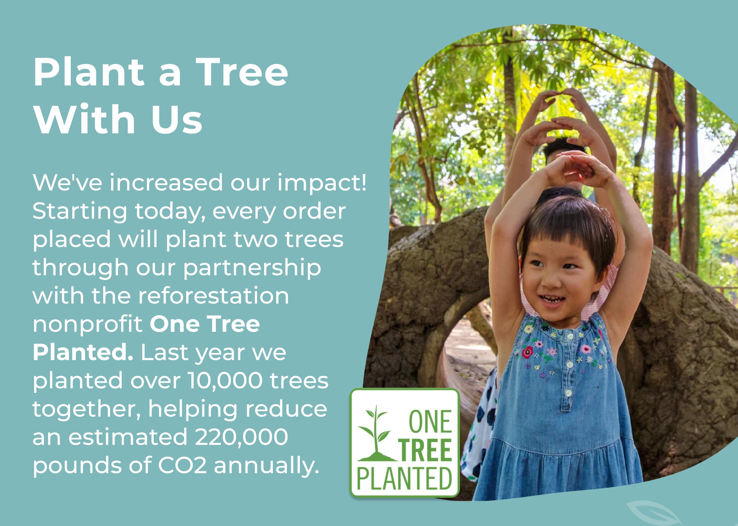 Plant a Tree With Us