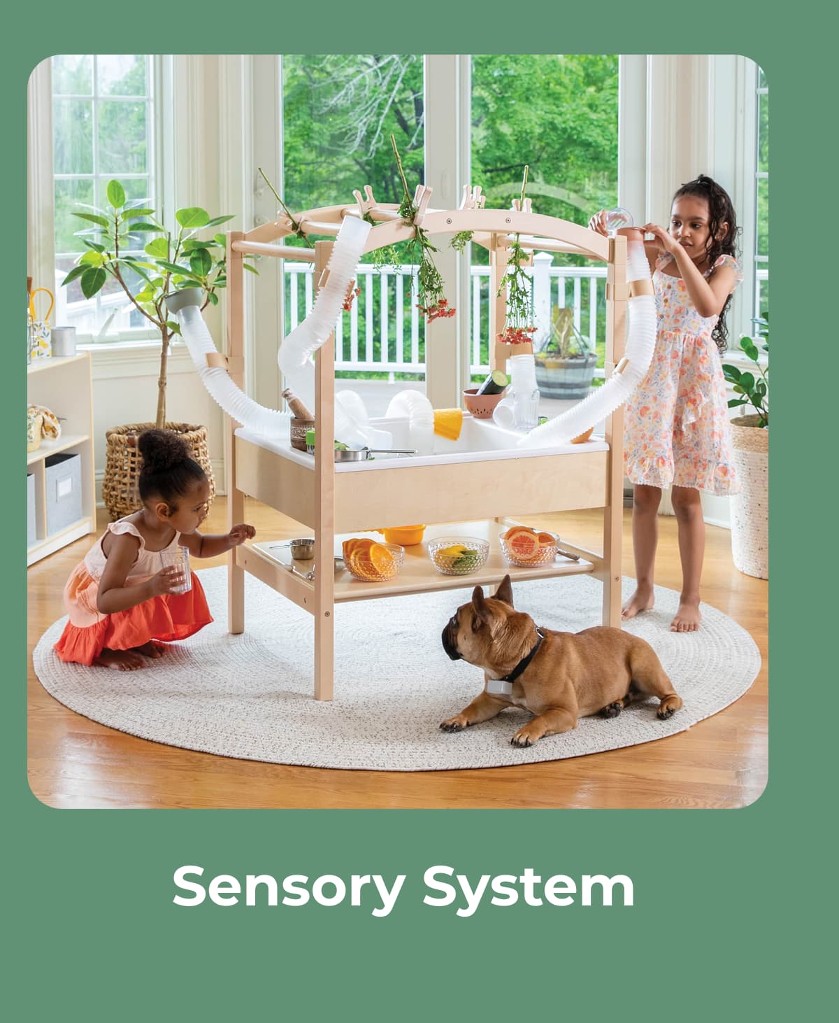 Sensory System