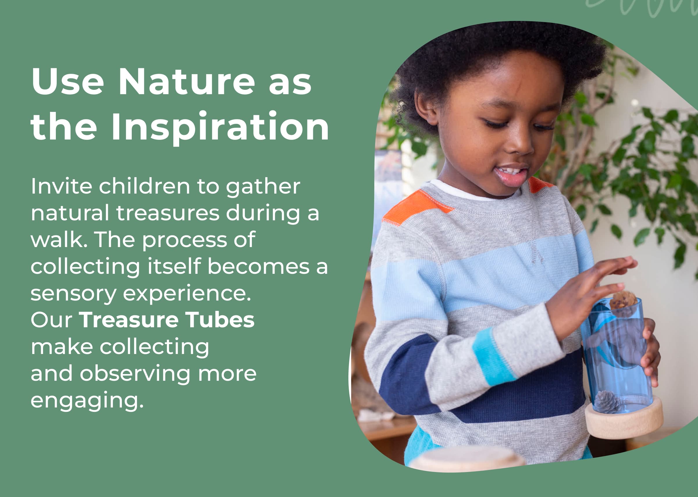 Use Nature as the Inspiration