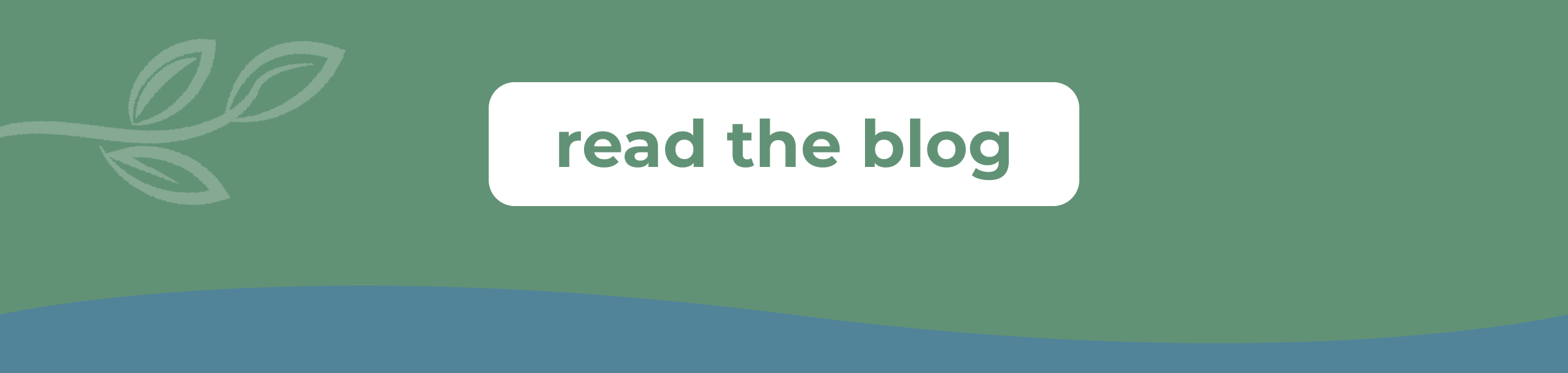 Read the Blog