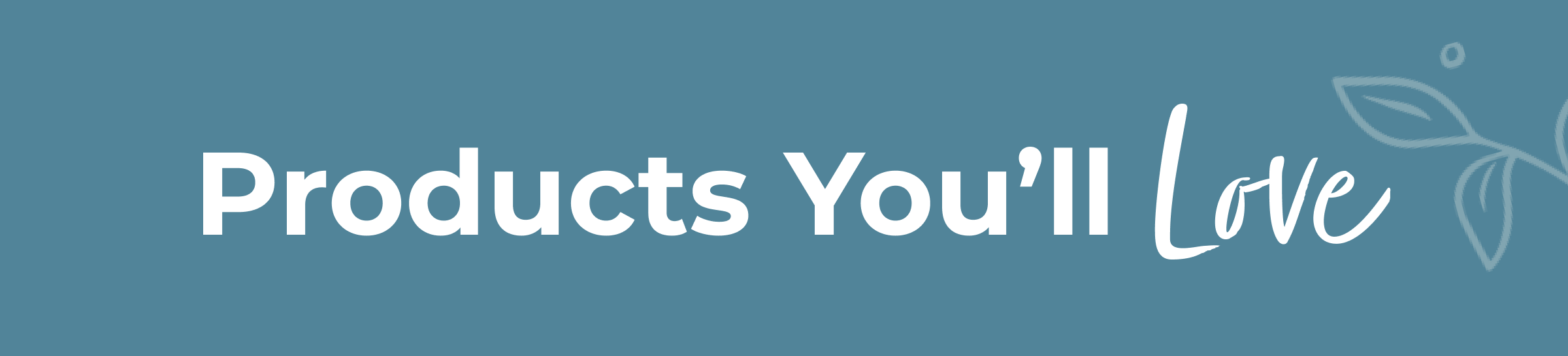 Products You’ll Love