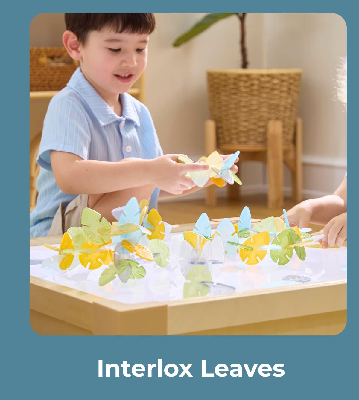 Interlox Leaves