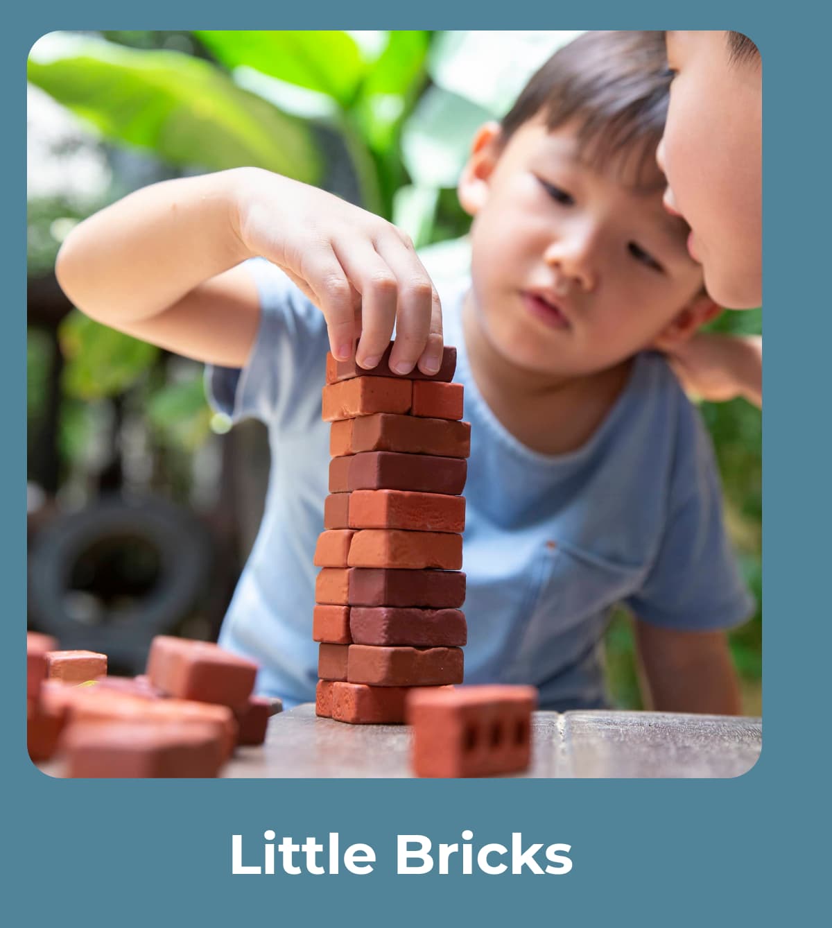 Little Bricks