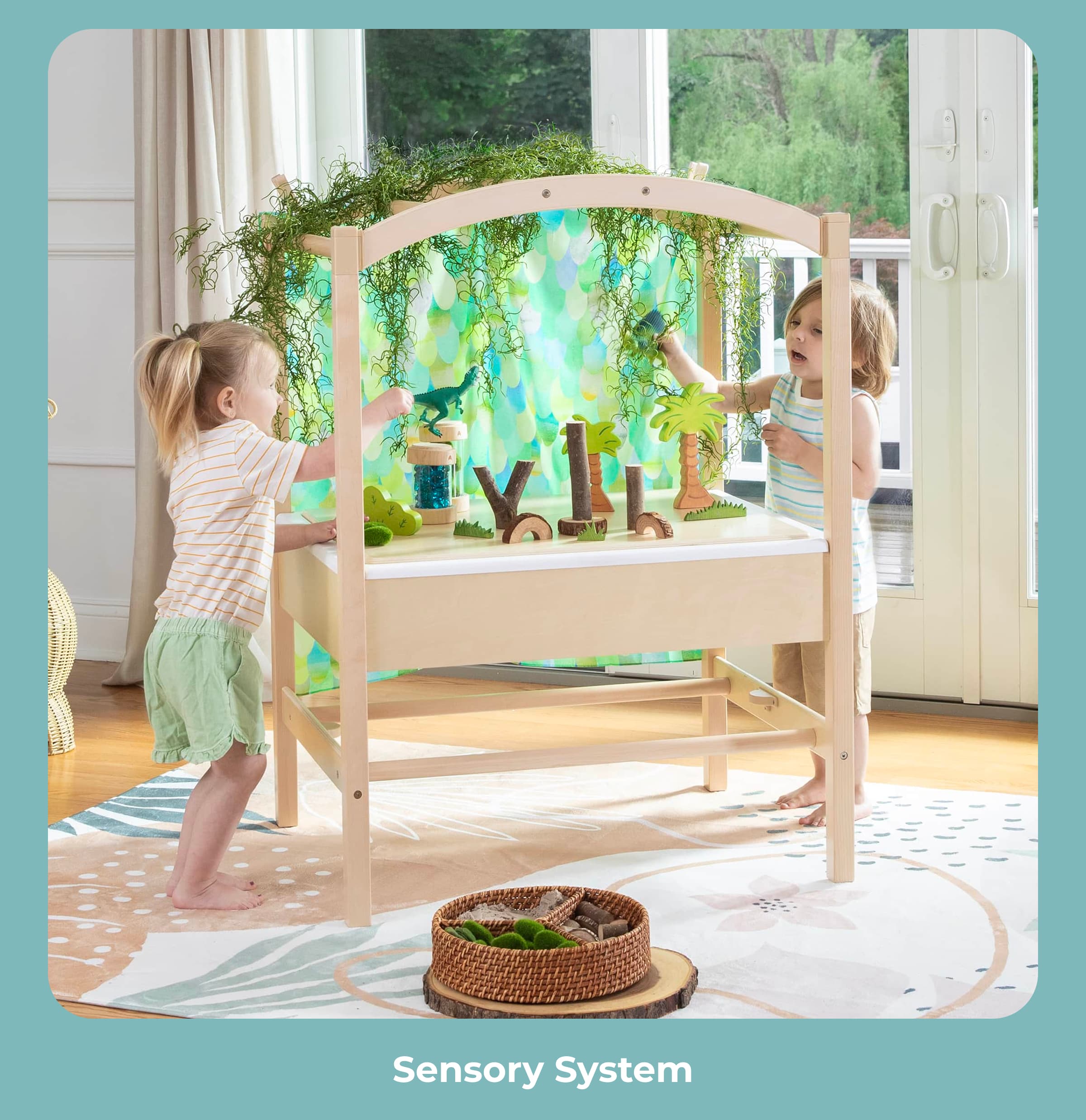Sensory System