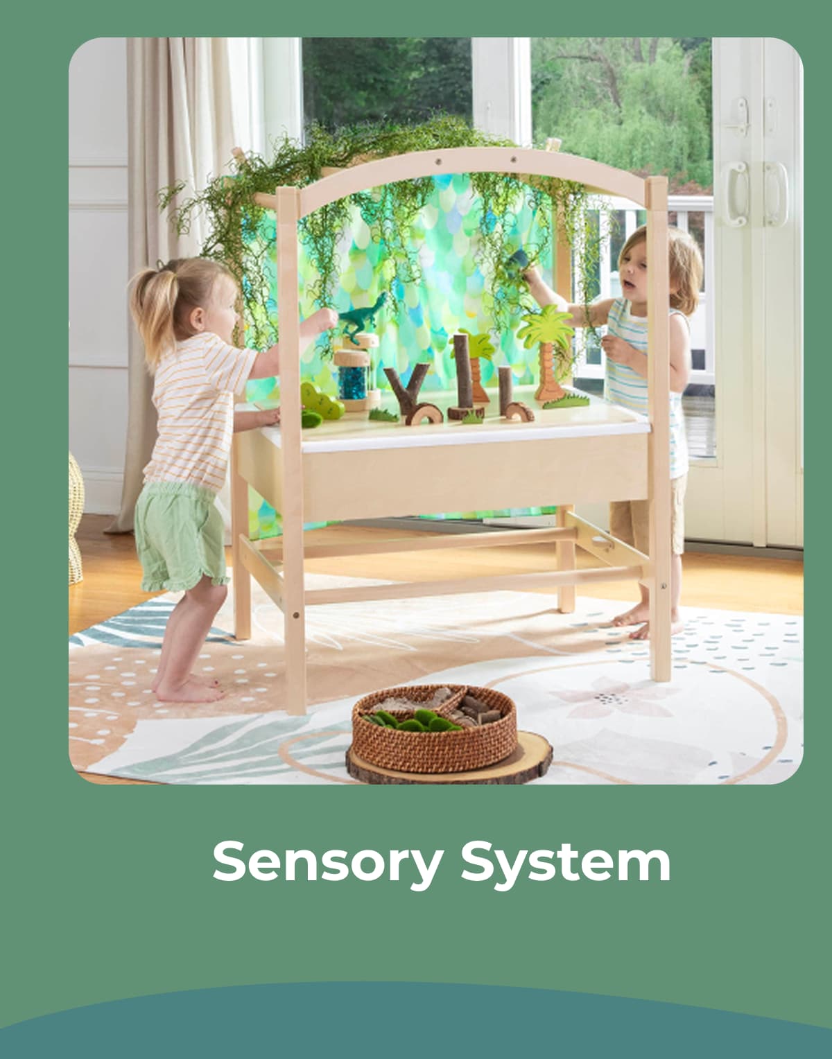 Sensory System