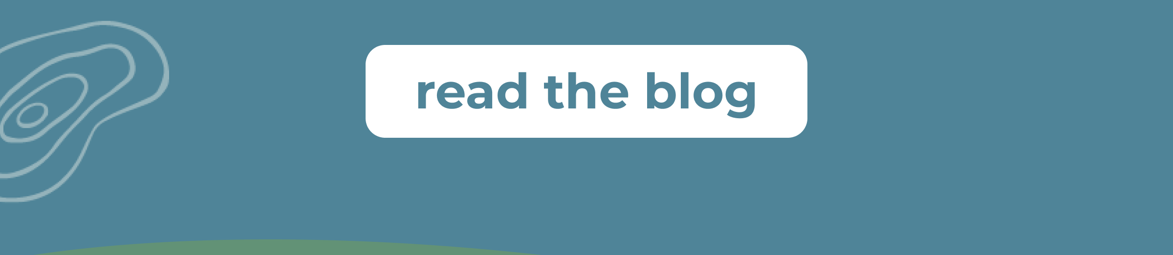 Read the Blog