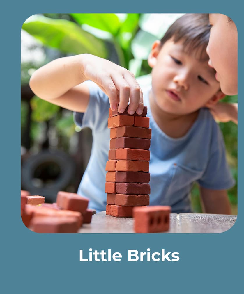 Little Bricks