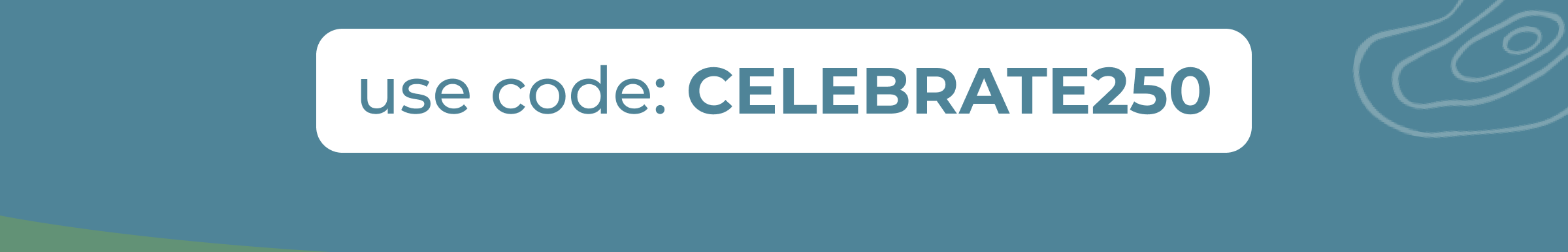 Use Code: CELEBRATE250