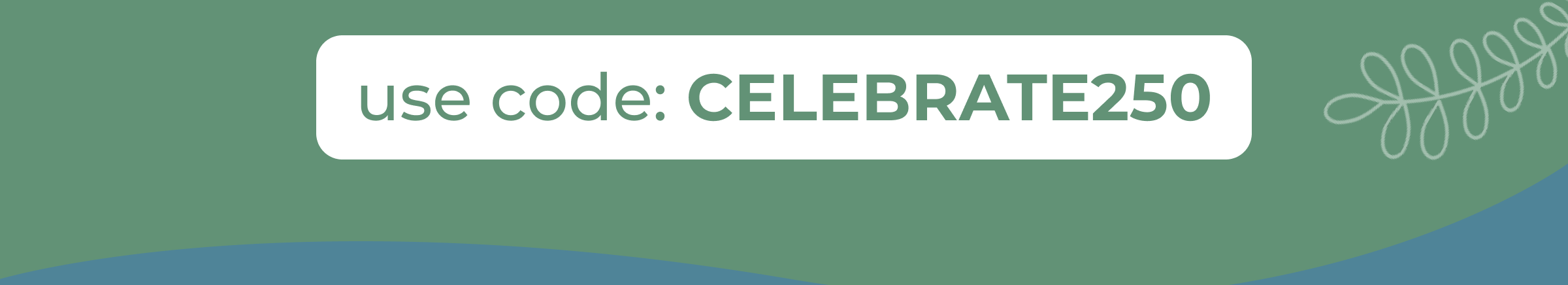 Use Code: CELEBRATE250