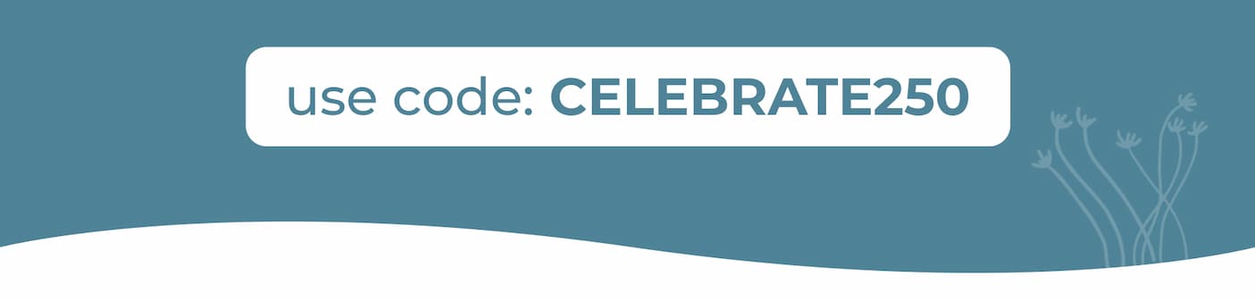 Use Code: CELEBRATE250