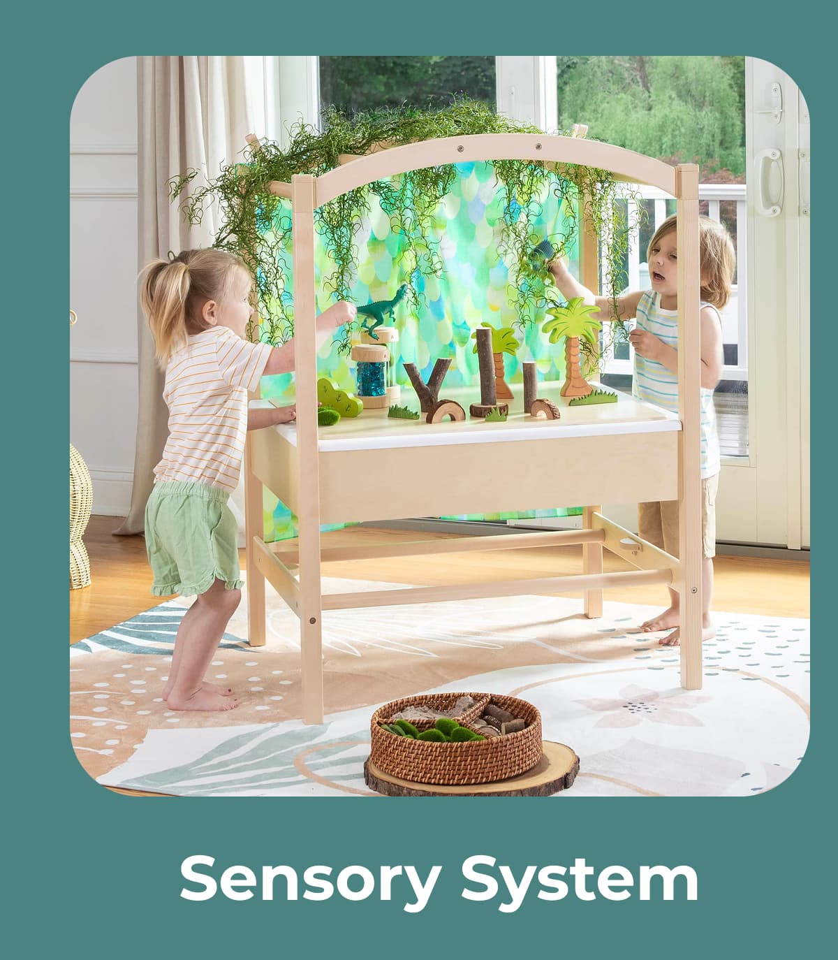 Sensory System