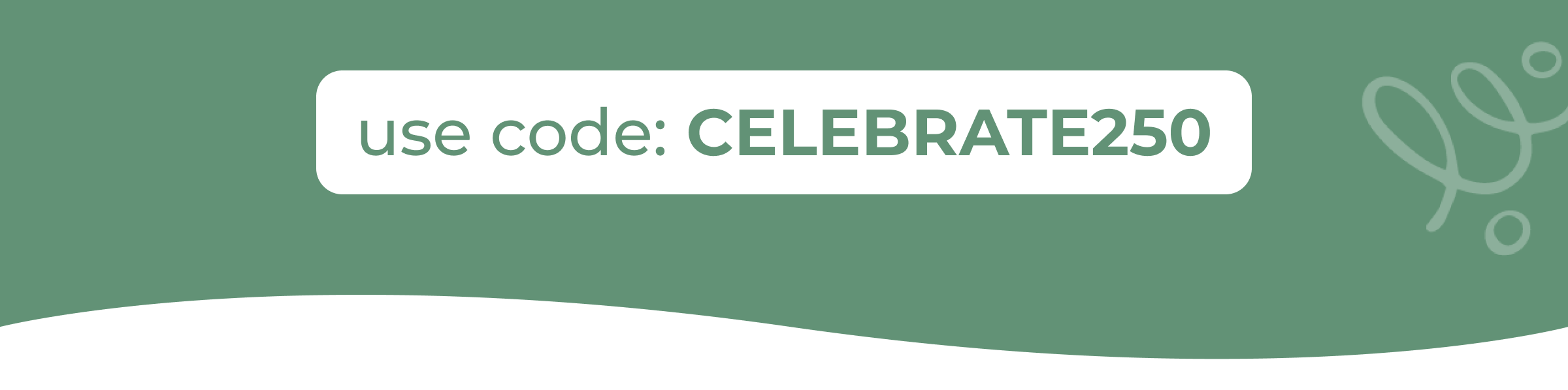 Use Code: CELEBRATE250