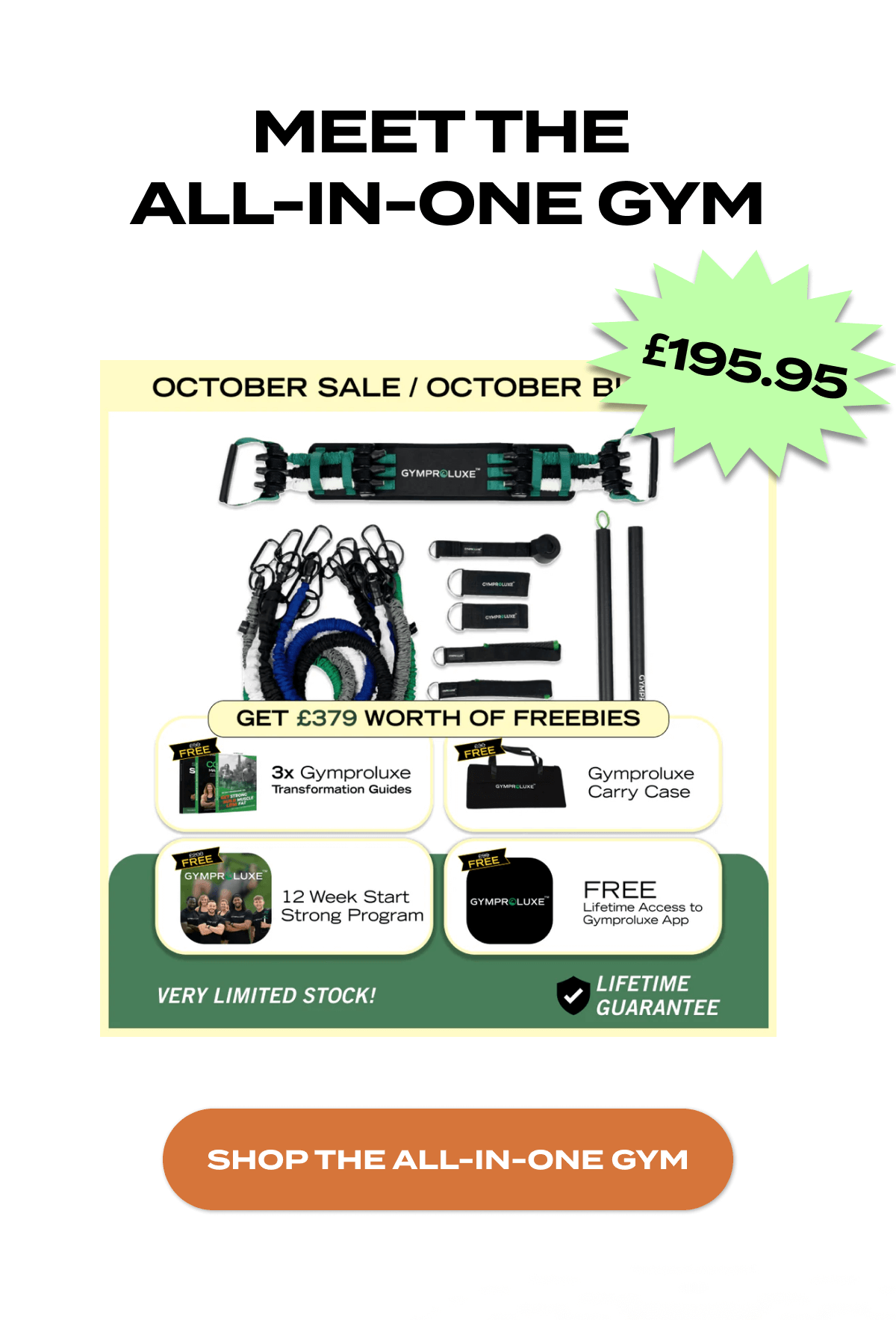 Meet The  All-In-One Gym | SHOP THE ALL-IN-ONE GYM
