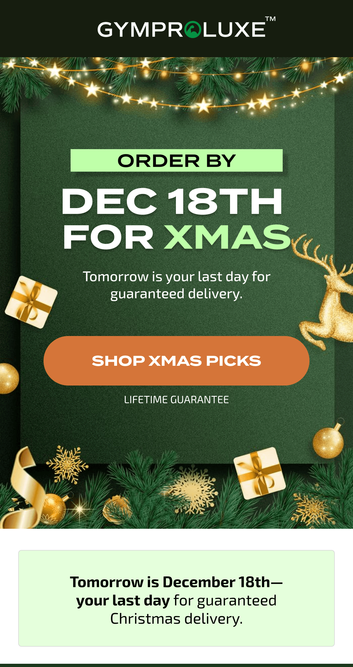 Order by Dec 18th  for Xmas | SHOP XMAS PICKS