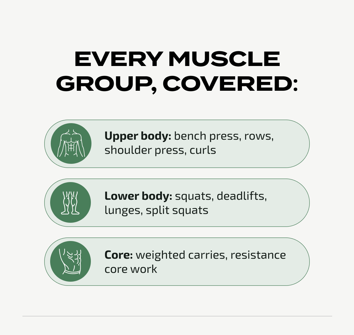 Every muscle group, covered: