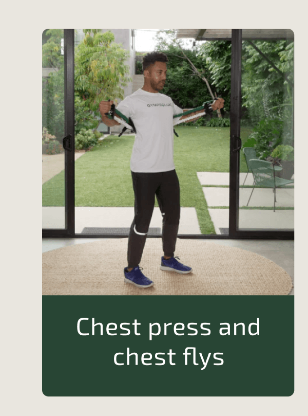 GYMPROLUX Chest press and chest flys