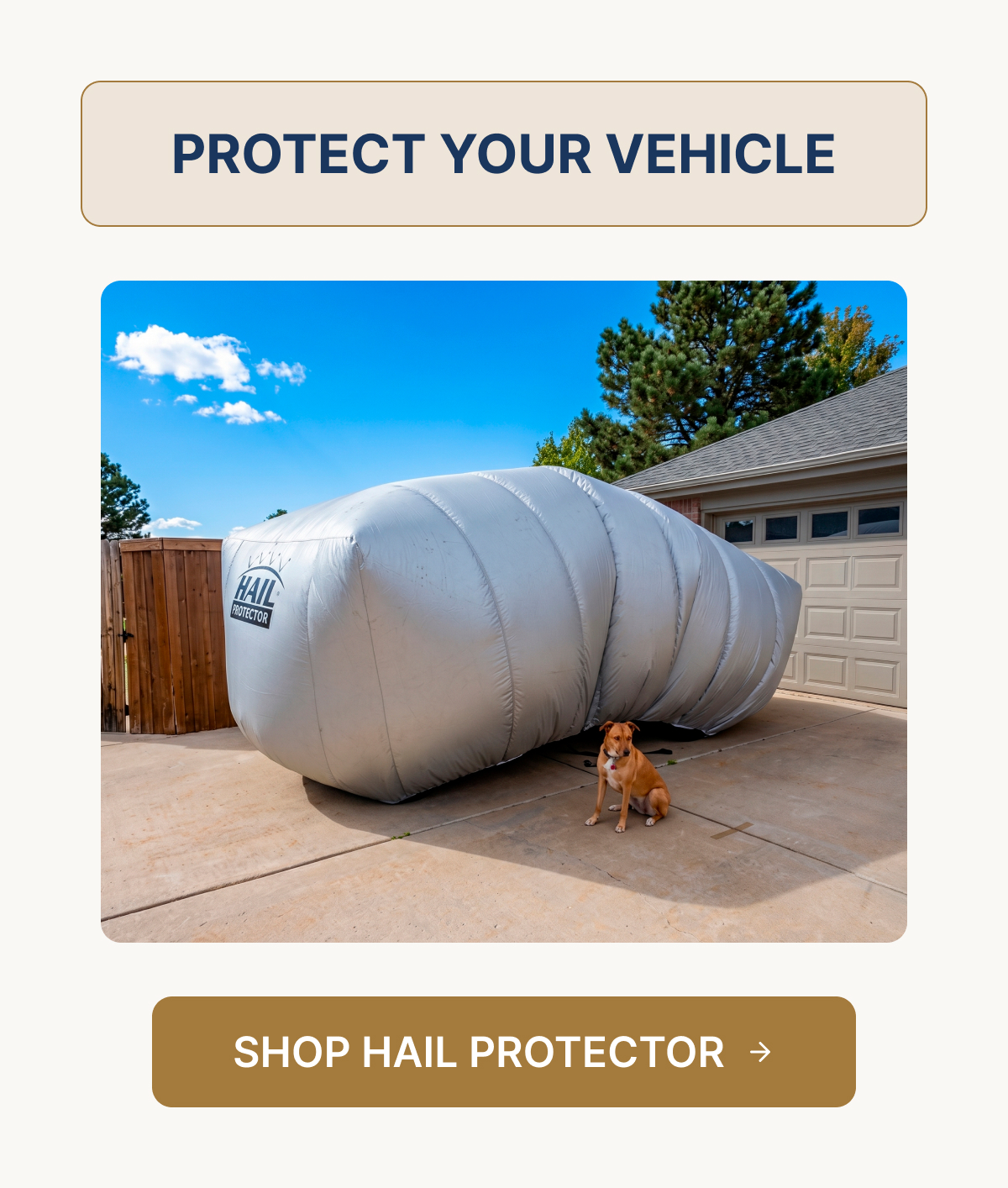 PROTECT YOUR VEHICLE