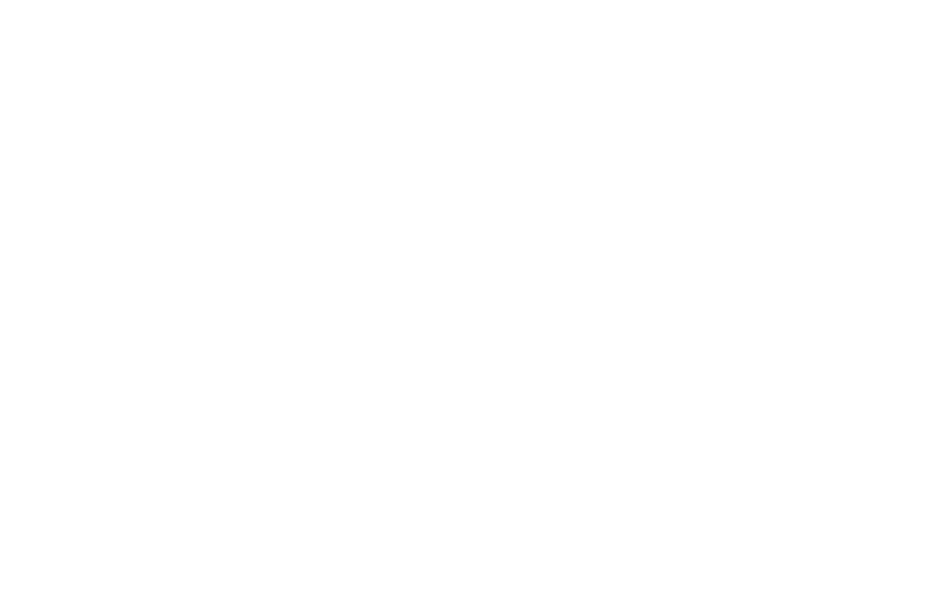 hailprotector.com