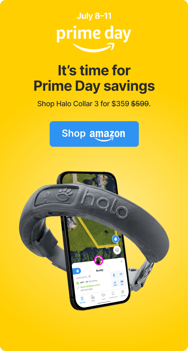 Amazon Prime Day savings! This week only. Shop Halo Collar 3 for $359.