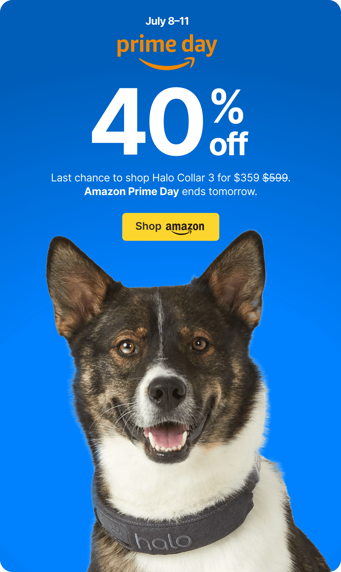 Our lowest price ever. Prime Day ends soon. Last chance to shop Amazon Prime Day and get the lowest price ever on Halo Collar 3.