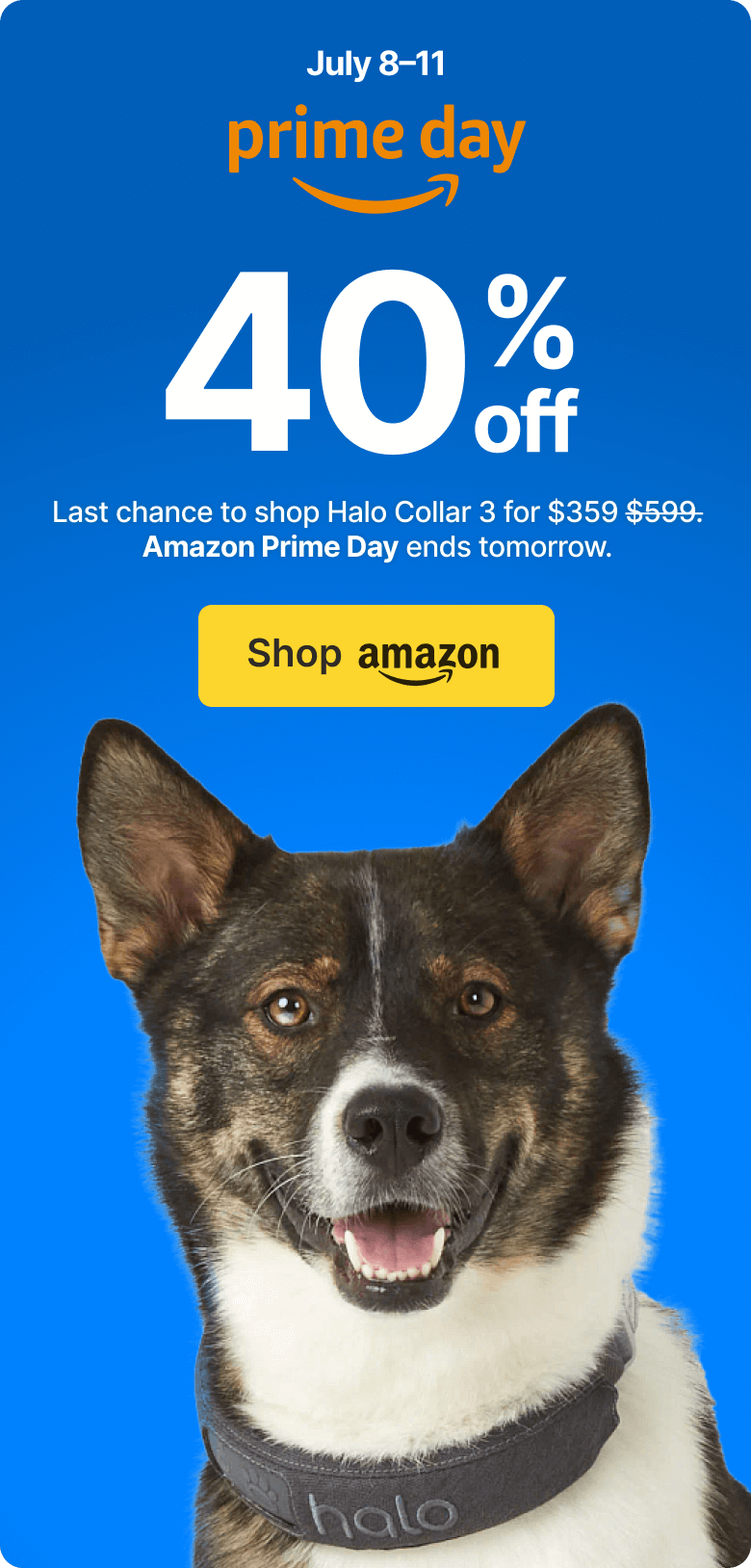 Our lowest price ever. Prime Day ends soon. Last chance to shop Amazon Prime Day and get the lowest price ever on Halo Collar 3.